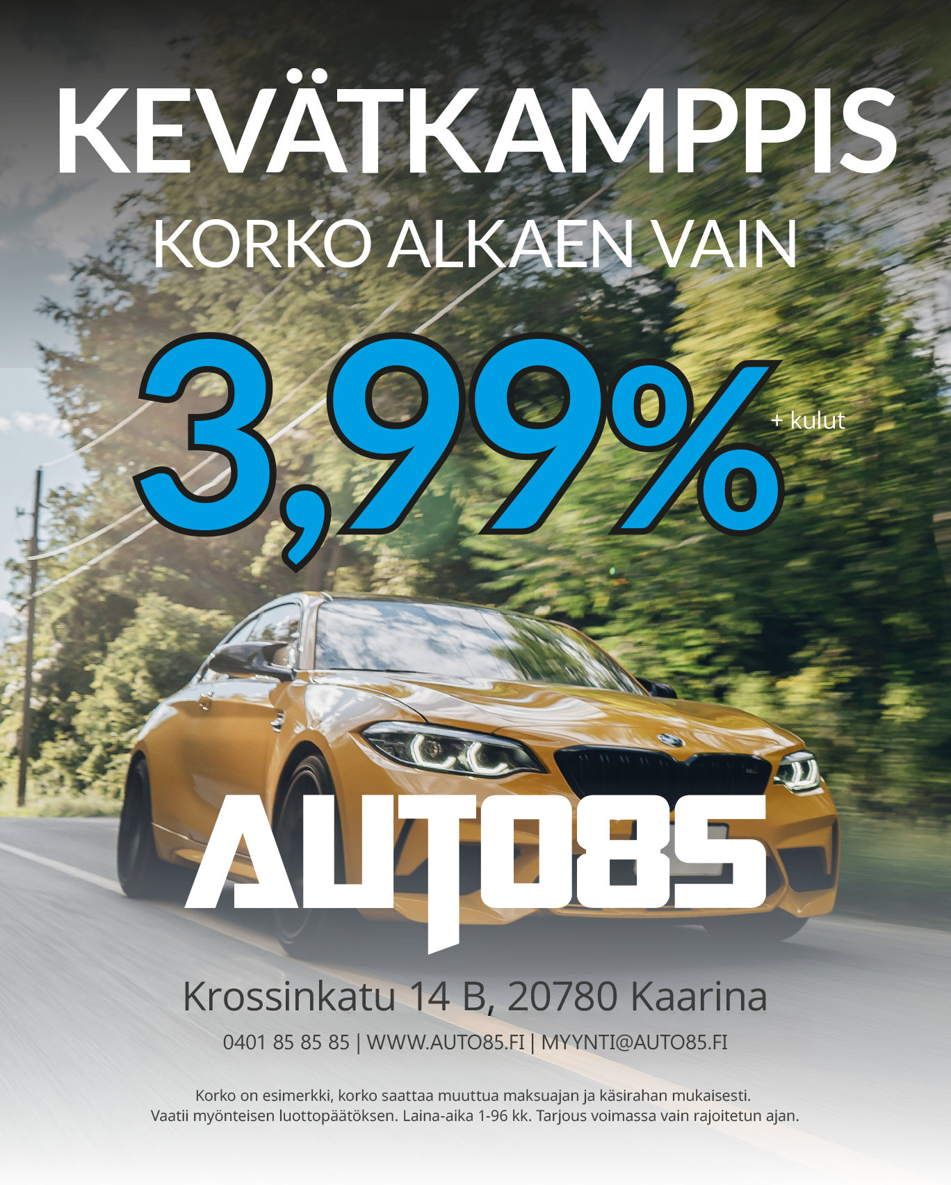 Kevatkamppis_ignelio_03-2025